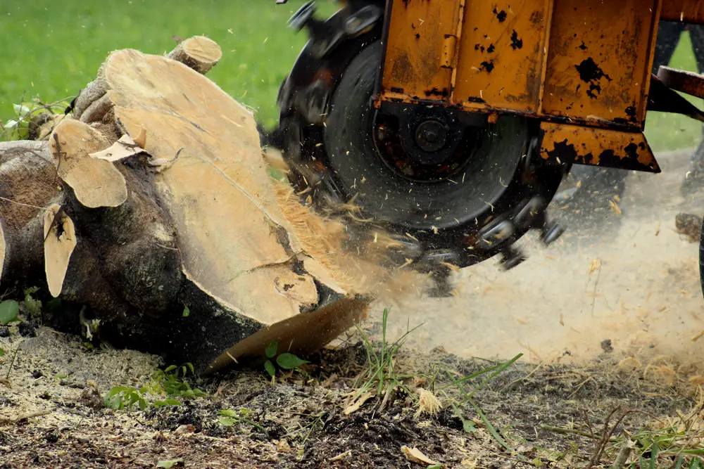 stump grinders