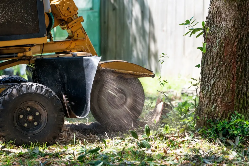 best stump grinders
